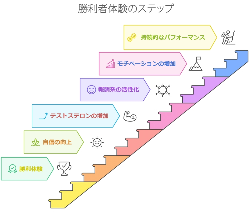 勝利者効果の心理学的メカニズム