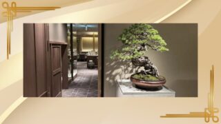 銀座高級クラブ七凪（なぎ） 最新情報のご紹介